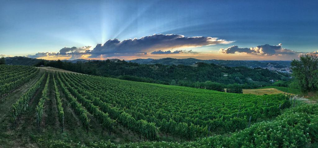 Willa I Tre Poggi Dimora Di Charme Canelli Zewnętrze zdjęcie